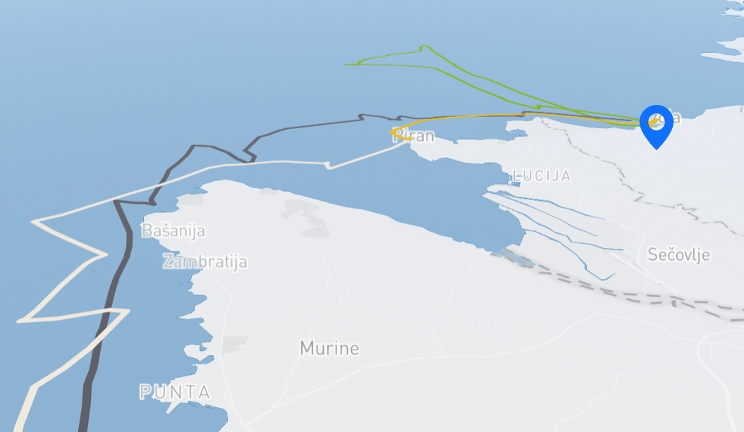 A screenshot of Segelfreund's sea chart showing tracks.